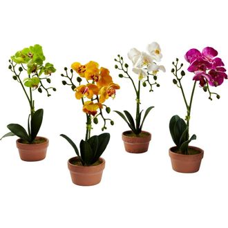 Nearly Natural Phalaenopsis Orchid with Clay Vase in Assorted at Nordstrom