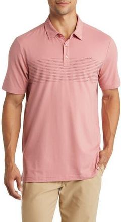 Travis Mathew Relocation Stripe Stretch Polo in Dusty Rose at Nordstrom Rack, Size Medium