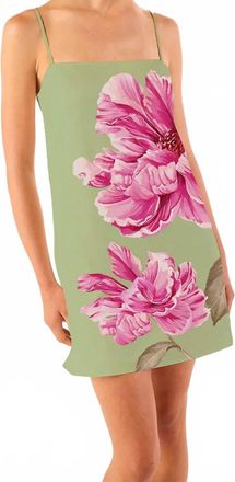 Misa Maxine Mini Dress In Green