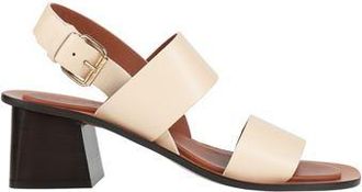 Mansur Gavriel SANDA