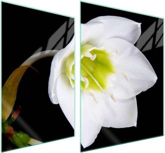 OEM Placa Protectora De Vidrio Para Estufa 70x52 Orqu&iacute;dea