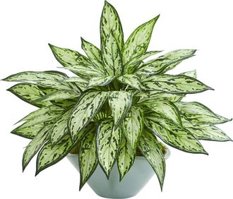 Nearly Natural Silver Queen Artificial Plant in Green Vase at Nordstrom