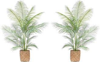 Creative Displays Inc. 5.5Ft Outdoor Uv-Rated Kentia Palm Drop-In Trees With Bamboo-Wrapped Cement Pots
