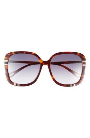 Chlo&eacute; 59mm Square Sunglasses in Havana Havana Blue at Nordstrom Rack