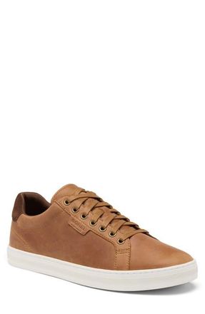 Sorel Cyprus LX Sneaker in Velvet Tan/Sea Salt at Nordstrom, Size 11.5