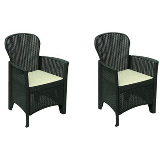 Dmora Dmora - Conjunto De 2 Sillas De Exterior Amilton, Asiento De Jard&iacute;n, Para Interior O Exterior, Con Reposabrazos, Fabricado En Italia, 59x57 H86 Cm, An