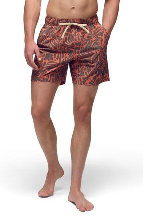 Prana Metric Swim Trunks in Lychee Seaweed at Nordstrom, Size X-Large