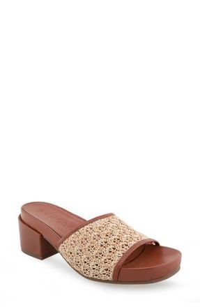 Aerosoles Clark Raffia Block Heel Sandal in Natural Ra at Nordstrom Rack, Size 6.5