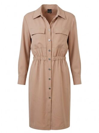 Pinko Arum Dress