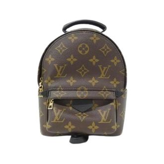 Louis Vuitton Pre-owned Palm Springs Monogram Rugzak - Heren - Pre-owned - Bruin - Maat: ONE Size