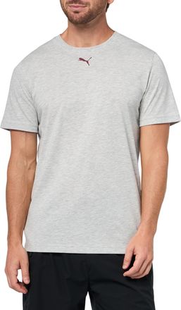 Puma Puma Mens Graphic T-Shirt (Available in Big and Tall Sizes), Light Gray Heather Illustrated Ah25, Large