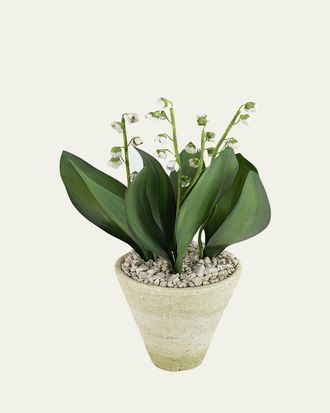 Tommy Mitchell Lily of the Valley May Birth Flower in White Terracotta Pot