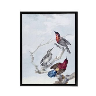 Artery8 Three Crimson Sunbirds Watercolour Schouman Framed Canvas Wall Art in Blue | Size: W24 x H32
