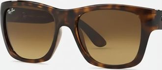 Ray-Ban Womens Polished Frame Gradient Lenses Sunglasses In Light Havana/ Brown