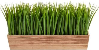 Nearly Natural 20-in Vanilla Grass Artificial Plant in Decorative Planter in Green at Nordstrom