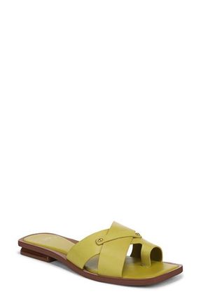 Franco Sarto Etta Toe Loop Sandal in Seaweed at Nordstrom, Size 6.5