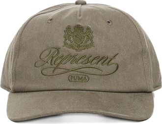 Puma La seguente tabella riassume le informazioni che il richiedente deve fornire