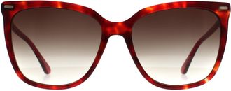 Calvin Klein Butterfly Womens Burgundy Havana Brown Gradient CK22532S - Red - One Size