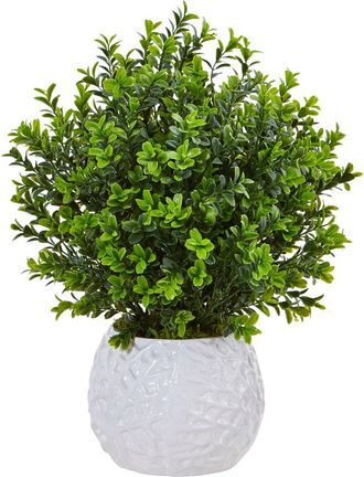 Nearly Natural Boxwood Evergreen Artificial Plant in White Vase at Nordstrom