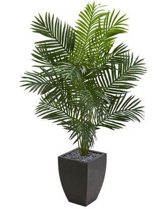 Nearly Natural 5.5Ft Paradise Artificial Palm Tree In Black Planter
