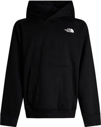 The North Face M RAGLAN BOX NSE REGULAR HOODIE