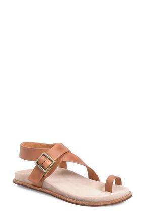 Kork-ease Anya Toe Loop Sandal in Dark Tan Leather at Nordstrom, Size 10