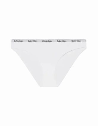 Calvin Klein Womens Modern Logo Bikini Brief, White - Size: XS