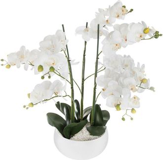 Atmosphera Atmosphera - Orqu&iacute;dea Olla Cer&aacute;mica Blanca H65 - Blanco