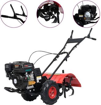 vidaXL Vidaxl - Motozappa a Benzina 6,5 hp 196 cc