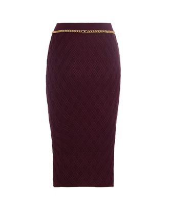 Elisabetta Franchi Skirt