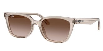 Ray-Ban RB2243D Asian Fit 682713 Mens Sunglasses Brown Size 55