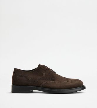 Tod's Lace-ups in Suede