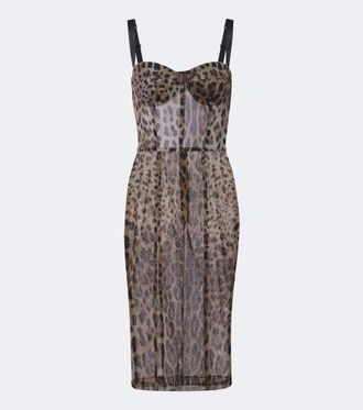 Dolce & Gabbana Leopard-print cotton and silk bustier dress