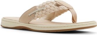 Sperry Top-Sider Parrotfish Sandal in White/Bone at Nordstrom, Size 7.5