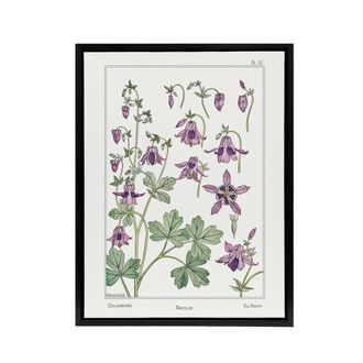 Artery8 Columbine Aquilegia Flower Framed Canvas Wall Art Print Verneuil in White | Size: W24 x H32
