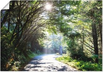 Artland Wandbild »Sonniger Wald« Baumbilder 1 Stk. tlg. als Alubild, Outdoorbild, Leinwandbild, Poster in verschied. Grössen