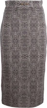 Elisabetta Franchi Skirt