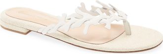 Gianvito Rossi Paros Sandal in Offwhite Naturale at Nordstrom, Size 10.5Us