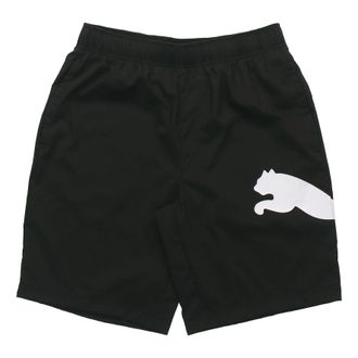 Puma Basic Logo Graphic Shorts Black 846007-01