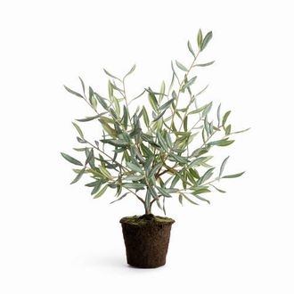 Napa Home & Garden Olive Green Plastic Tree Drop-In 26 at Nordstrom
