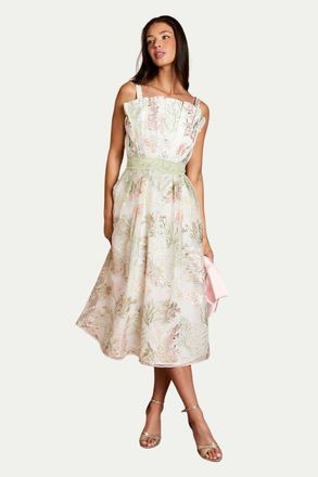 Coast Fan Bodice Embroidered Mesh Midi Dress in Ivory at Nordstrom, Size 12