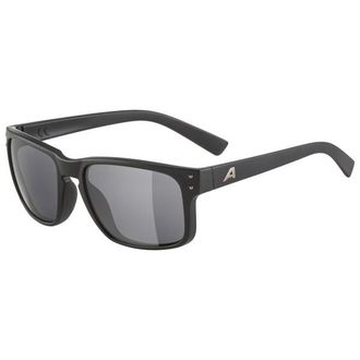 Alpina Kosmic S3 Sonnenbrille - Unisex | grau