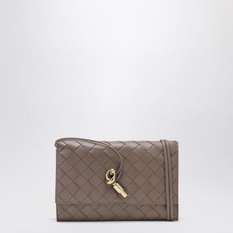 Bottega Veneta Andiamo pouch in beige Pinecone
