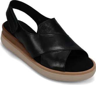 Vaneli Hydra Slingback Sandal in Black at Nordstrom, Size 7.5