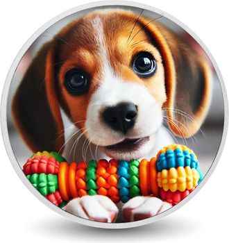 OEM Moneda Plateada De 1 Oz De Playful Chewer