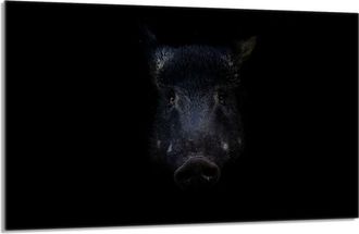 OEM Placa Protectora De Vidrio Para Estufa 80x52 Jabal&iacute;