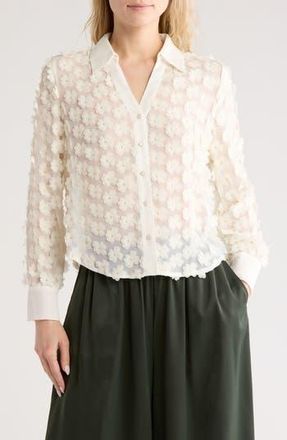 Adrianna Papell 3D Floral Appliqu&eacute; Long Sleeve Top in Ivory at Nordstrom Rack, Size X-Small