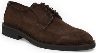 Bruno Magli Vasto Suede Plain Toe Derby in Dark Brown Suede at Nordstrom, Size 8.5
