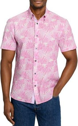 ConStruct Palm Print Short Sleeve Seersucker Button-Up Shirt in Light Pink at Nordstrom Rack, Size Xx-Large