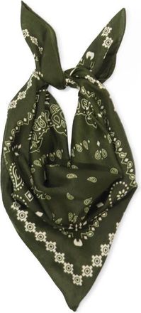 Petit Moments Soho Scarf in Green at Nordstrom